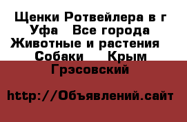 Щенки Ротвейлера в г.Уфа - Все города Животные и растения » Собаки   . Крым,Грэсовский